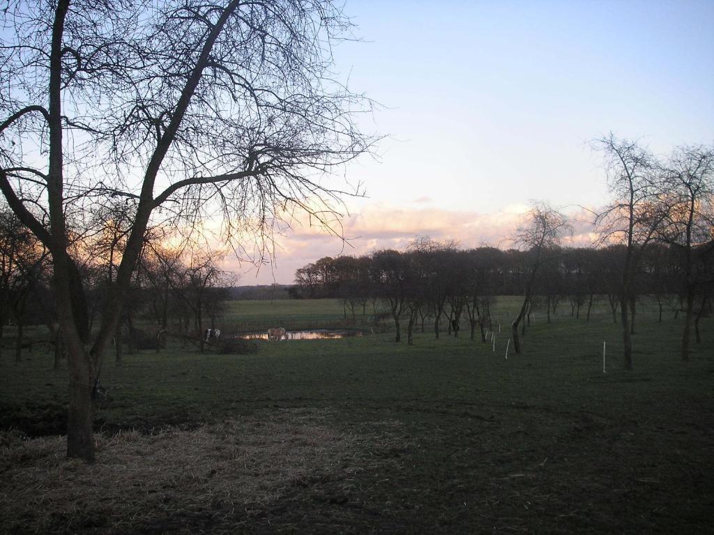 Teglgaarden Bed & Breakfast Vindeby  エクステリア 写真